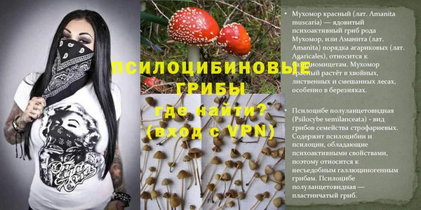 героин Новодвинск