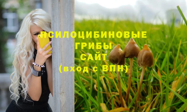 эйфоретик Новокубанск