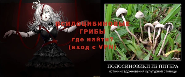 MESCALINE Новозыбков